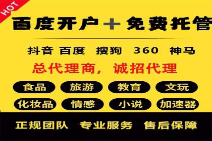 SEM广告投放策略案例分析